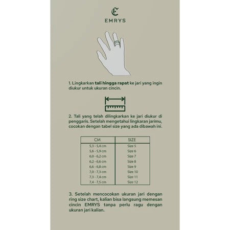 Emrys PIXEL Premium Ring Cincin Titanium Pria Wanita Anti Karat Tahan Air